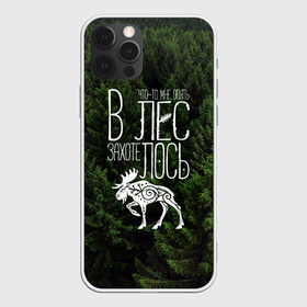 Чехол для iPhone 12 Pro Max с принтом В лес захотелось в Курске, Силикон |  | бег | болота | выезд с палатками | глушь | дикая природа | елки | еловый бор | кэмпинг | лес | лось | маршрут | ммб | сибирь | силуэт лося | тайга | тотем | трекинг | туризм | узоры