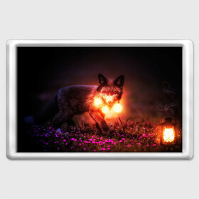 Магнит 45*70 с принтом Лисица с фонариками в Курске, Пластик | Размер: 78*52 мм; Размер печати: 70*45 | fox | foxy | животное | звери | лиса | лисенок | лисичка | милая | рыжая | фокс