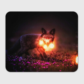 Коврик для мышки прямоугольный с принтом Лисица с фонариками в Курске, натуральный каучук | размер 230 х 185 мм; запечатка лицевой стороны | fox | foxy | животное | звери | лиса | лисенок | лисичка | милая | рыжая | фокс