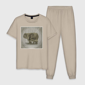 Мужская пижама хлопок с принтом Слоны в Курске, 100% хлопок | брюки и футболка прямого кроя, без карманов, на брюках мягкая резинка на поясе и по низу штанин
 | иллюстрация | рисунок | серый | слон | слоненок