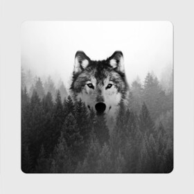 Магнит виниловый Квадрат с принтом Волк в Курске, полимерный материал с магнитным слоем | размер 9*9 см, закругленные углы | Тематика изображения на принте: tegunvteg | волк | деревья | красивый лес | лес | листья | природа | собака | темный лес