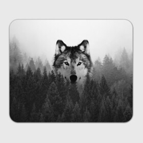Коврик для мышки прямоугольный с принтом Волк в Курске, натуральный каучук | размер 230 х 185 мм; запечатка лицевой стороны | tegunvteg | волк | деревья | красивый лес | лес | листья | природа | собака | темный лес