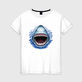 Женская футболка хлопок с принтом АКУЛА ЧЕЛЮСТИ в Курске, 100% хлопок | прямой крой, круглый вырез горловины, длина до линии бедер, слегка спущенное плечо | fish | jaws | megalodon | shark | teeth | white shark | акула | белая акула | зубы | клыки | мегалодон | пасть | рот | рыба | челюсти