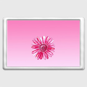 Магнит 45*70 с принтом розовая ромашка в Курске, Пластик | Размер: 78*52 мм; Размер печати: 70*45 | акварель | арт | весна | гортензия | лето | природа | рисунок | розовый | ромашка | свежесть | цветок | цветы | яркий | ярко