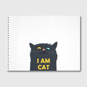 Альбом для рисования с принтом I AM CAT в Курске, 100% бумага
 | матовая бумага, плотность 200 мг. | animal | cat | i am cat | meow | животное | зверь | кот | кошка | мяу
