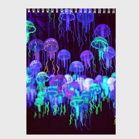 Скетчбук с принтом Неоновые медузы в Курске, 100% бумага
 | 48 листов, плотность листов — 100 г/м2, плотность картонной обложки — 250 г/м2. Листы скреплены сверху удобной пружинной спиралью | вода | животные | медузы | неон | неоновые