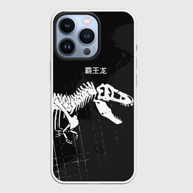 Чехол для iPhone 13 Pro с принтом T rex в Курске,  |  | t rex | динозавр | древний | иероглифы | краска | разводы | скелет | тиранозавр | череп