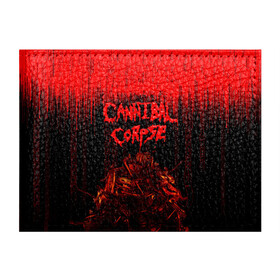 Обложка для студенческого билета с принтом CANNIBAL CORPSE в Курске, натуральная кожа | Размер: 11*8 см; Печать на всей внешней стороне | blood | cannibal corpse | death metal | grunge | hardcore | music | punk | rock | usa | группа | канибал | кровь | метал | музыка | рок | сша | труп