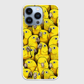 Чехол для iPhone 13 Pro с принтом Попугаи в Курске,  |  | Тематика изображения на принте: myparrots | parrot | ара | желтый | листья | орнамент | попугаи | птицы | рай | тукан | узор | цветы