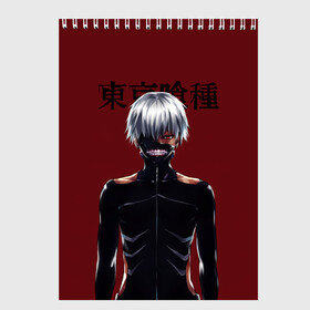 Скетчбук с принтом Канеки Кен Kaneki Ken в Курске, 100% бумага
 | 48 листов, плотность листов — 100 г/м2, плотность картонной обложки — 250 г/м2. Листы скреплены сверху удобной пружинной спиралью | anime | kaneki ken | tokyo ghoul | tokyo ghoul: re | аниме | анимэ | гули | джузо сузуя | канеки кен | кузен йошимура | наки | нишики нишио | ре | ренджи йомо | ризе камиширо | токийский гуль | тоука киришима | ута