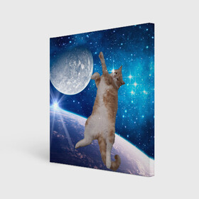 Холст квадратный с принтом Кисулькин в космосе в Курске, 100% ПВХ |  | астроном пушистый | барсик | звезды | космос | котики | коты