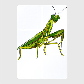 Магнитный плакат 2Х3 с принтом Богомол в Курске, Полимерный материал с магнитным слоем | 6 деталей размером 9*9 см | animals | insect | mantis | nature | summer | богомол | весна | дикие | животные | жуки | звери | зеленый богомол | клещни | комары | кузнечики | лапки | лето | мухи | насекомое | природа | самка | стрекоза | существа | усики