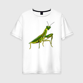 Женская футболка хлопок Oversize с принтом Богомол в Курске, 100% хлопок | свободный крой, круглый ворот, спущенный рукав, длина до линии бедер
 | animals | insect | mantis | nature | summer | богомол | весна | дикие | животные | жуки | звери | зеленый богомол | клещни | комары | кузнечики | лапки | лето | мухи | насекомое | природа | самка | стрекоза | существа | усики