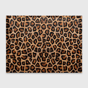 Обложка для студенческого билета с принтом Шкура Леопарда в Курске, натуральная кожа | Размер: 11*8 см; Печать на всей внешней стороне | leopard | skin | wool | кожа | леопард