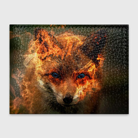 Обложка для студенческого билета с принтом Огненная лиса в Курске, натуральная кожа | Размер: 11*8 см; Печать на всей внешней стороне | fox | foxy | животное | звери | лиса | лисенок | лисичка | милая | рыжая | фокс