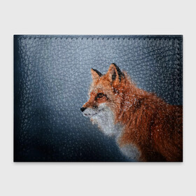 Обложка для студенческого билета с принтом Лиса в Курске, натуральная кожа | Размер: 11*8 см; Печать на всей внешней стороне | fox | foxy | животное | звери | лиса | лисенок | лисичка | милая | рыжая | фокс