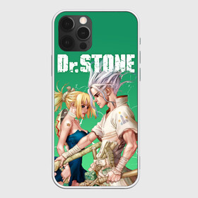 Чехол для iPhone 12 Pro Max с принтом Dr Stone в Курске, Силикон |  | dr. stone | kohaku | senku | taiju | доктор стоун | исигами сэнку | кохаку | сэнку | тайдзю | цукаса