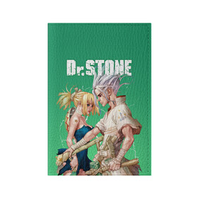 Обложка для паспорта матовая кожа с принтом Dr Stone в Курске, натуральная матовая кожа | размер 19,3 х 13,7 см; прозрачные пластиковые крепления | Тематика изображения на принте: dr. stone | kohaku | senku | taiju | доктор стоун | исигами сэнку | кохаку | сэнку | тайдзю | цукаса