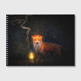 Альбом для рисования с принтом Лиса с огненной короной в Курске, 100% бумага
 | матовая бумага, плотность 200 мг. | Тематика изображения на принте: fox | foxy | животное | звери | лиса | лисенок | лисичка | милая | рыжая | фокс