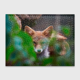 Обложка для студенческого билета с принтом Лисичка в Курске, натуральная кожа | Размер: 11*8 см; Печать на всей внешней стороне | fox | foxy | животное | звери | лиса | лисенок | лисичка | милая | рыжая | фокс