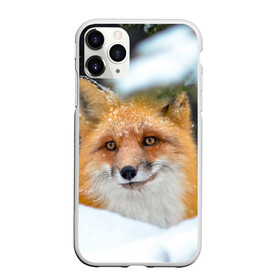 Чехол для iPhone 11 Pro матовый с принтом Лисичка на сугробе в Курске, Силикон |  | Тематика изображения на принте: fox | foxy | животное | звери | лиса | лисенок | лисичка | милая | рыжая | фокс