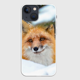Чехол для iPhone 13 mini с принтом Лисичка на сугробе в Курске,  |  | Тематика изображения на принте: fox | foxy | животное | звери | лиса | лисенок | лисичка | милая | рыжая | фокс