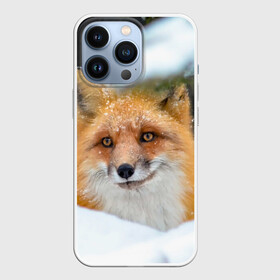 Чехол для iPhone 13 Pro с принтом Лисичка на сугробе в Курске,  |  | fox | foxy | животное | звери | лиса | лисенок | лисичка | милая | рыжая | фокс