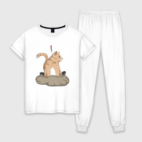 Женская пижама хлопок с принтом Кот в мешке в Курске, 100% хлопок | брюки и футболка прямого кроя, без карманов, на брюках мягкая резинка на поясе и по низу штанин | cat | кот в мешке | кот из мема | рыжий котик | удивленный кошак