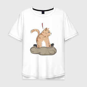 Мужская футболка хлопок Oversize с принтом Кот в мешке в Курске, 100% хлопок | свободный крой, круглый ворот, “спинка” длиннее передней части | cat | кот в мешке | кот из мема | рыжий котик | удивленный кошак