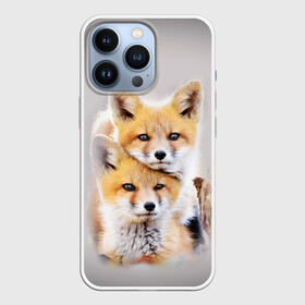 Чехол для iPhone 13 Pro с принтом Лисята в Курске,  |  | детеныши | животные | лиса | лисенок | лисичка | лисята | природа | рыжая