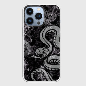 Чехол для iPhone 13 Pro с принтом COBRA RAGE в Курске,  |  | Тематика изображения на принте: животные | злой | змея | кобра | текстура | ярость