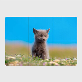 Магнитный плакат 3Х2 с принтом Смешной лисенок в Курске, Полимерный материал с магнитным слоем | 6 деталей размером 9*9 см | Тематика изображения на принте: fox | foxy | животное | звери | лиса | лисенок | лисичка | милая | рыжая | фокс