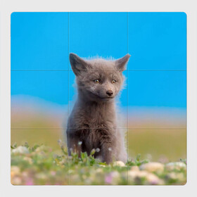 Магнитный плакат 3Х3 с принтом Смешной лисенок в Курске, Полимерный материал с магнитным слоем | 9 деталей размером 9*9 см | Тематика изображения на принте: fox | foxy | животное | звери | лиса | лисенок | лисичка | милая | рыжая | фокс
