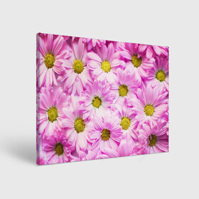 Холст прямоугольный с принтом Цветы в Курске, 100% ПВХ |  | Тематика изображения на принте: лето | маргаритки | розовый | фон | цветы