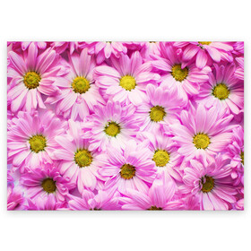 Поздравительная открытка с принтом Цветы в Курске, 100% бумага | плотность бумаги 280 г/м2, матовая, на обратной стороне линовка и место для марки
 | Тематика изображения на принте: лето | маргаритки | розовый | фон | цветы
