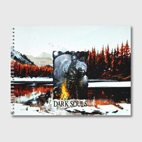 Альбом для рисования с принтом DARK SOULS NEW в Курске, 100% бумага
 | матовая бумага, плотность 200 мг. | Тематика изображения на принте: dark souls | darksouls | tegunvte | темные души