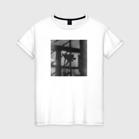 Женская футболка хлопок с принтом Нарциссы на фоне окна в Курске, 100% хлопок | прямой крой, круглый вырез горловины, длина до линии бедер, слегка спущенное плечо | нарциссы | натюрморт | природа | цветы | чёрное и белое