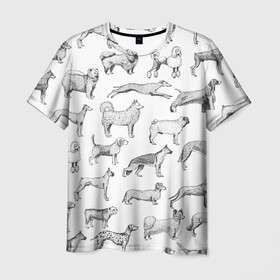 Мужская футболка 3D с принтом ПОРОДЫ СОБАК С ФОТОГРАФИЯМИ в Курске, 100% полиэфир | прямой крой, круглый вырез горловины, длина до линии бедер | бассет | бигль | боксер | борзая | бульдог | далматинец | доберман | дог | колли | лабрадор | милая собака | милые собаки | мопс | овчарка | папийон | пекинес | порода | пудель | сеттер | собака | собаки