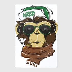 Магнитный плакат 2Х3 с принтом Cool обезьяна в Курске, Полимерный материал с магнитным слоем | 6 деталей размером 9*9 см | Тематика изображения на принте: кепка | крутая обезьяна | обезьяна | очки | смешная | шарф