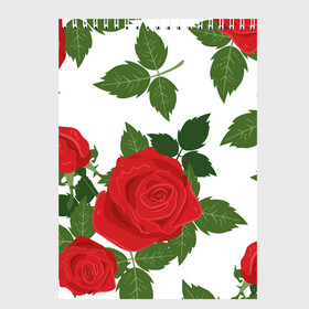Скетчбук с принтом Большие розы в Курске, 100% бумага
 | 48 листов, плотность листов — 100 г/м2, плотность картонной обложки — 250 г/м2. Листы скреплены сверху удобной пружинной спиралью | Тематика изображения на принте: арт | белый | большие бутоны | большие розы | большой бутон | зелёный | красная роза | красные розы | красные цветы | красный | красный цветок | листок | листья | поле | поле цветов | рисунок | роза