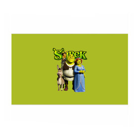 Бумага для упаковки 3D с принтом Шрек/Shrek в Курске, пластик и полированная сталь | круглая форма, металлическое крепление в виде кольца | cartoon | fiona | shrek | болото | детям | комедия | кот в сапогах | мультик | огр | осел | персонажи мультфильмов | тролль | фиона | шрек