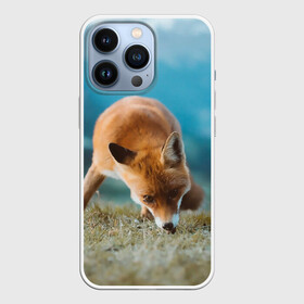 Чехол для iPhone 13 Pro с принтом Милая лисичка в Курске,  |  | fox | foxy | животное | звери | лиса | лисенок | лисичка | милая | рыжая | фокс