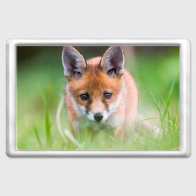 Магнит 45*70 с принтом Лисенок в засаде в Курске, Пластик | Размер: 78*52 мм; Размер печати: 70*45 | fox | foxy | животное | звери | лиса | лисенок | лисичка | милая | рыжая | фокс