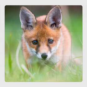 Магнитный плакат 3Х3 с принтом Лисенок в засаде в Курске, Полимерный материал с магнитным слоем | 9 деталей размером 9*9 см | fox | foxy | животное | звери | лиса | лисенок | лисичка | милая | рыжая | фокс