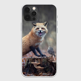 Чехол для iPhone 12 Pro с принтом Лисица и птичка в Курске, силикон | область печати: задняя сторона чехла, без боковых панелей | Тематика изображения на принте: fox | foxy | животное | звери | лиса | лисенок | лисичка | милая | рыжая | фокс