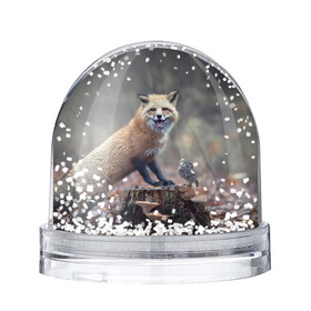 Снежный шар с принтом Лисица и птичка в Курске, Пластик | Изображение внутри шара печатается на глянцевой фотобумаге с двух сторон | fox | foxy | животное | звери | лиса | лисенок | лисичка | милая | рыжая | фокс