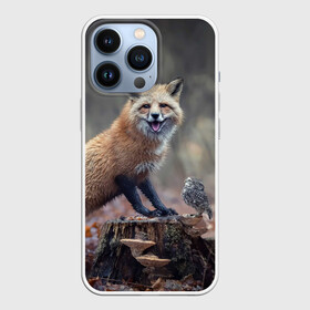 Чехол для iPhone 13 Pro с принтом Лисица и птичка в Курске,  |  | Тематика изображения на принте: fox | foxy | животное | звери | лиса | лисенок | лисичка | милая | рыжая | фокс