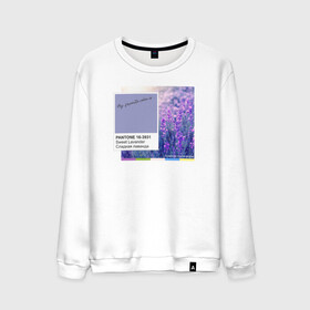 Мужской свитшот хлопок с принтом Panton Sweet Lavander в Курске, 100% хлопок |  | 16 3931 | color | lavander | panton | sweet lavander | лаванда | мило | модно | палитра | пантон | стильно | тренд | цвет | цветы