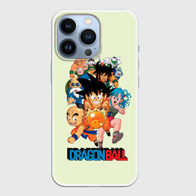 Чехол для iPhone 13 Pro с принтом Команда Драконьего яйца в Курске,  |  | anime | dragon ball | аниме | анимэ | драгон бал | дрэгон бол | жемчуг дракона