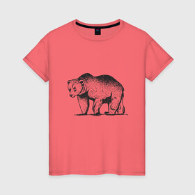 Женская футболка хлопок с принтом Медведь Гризли | Grizzly Bear в Курске, 100% хлопок | прямой крой, круглый вырез горловины, длина до линии бедер, слегка спущенное плечо | alaska | american bear | art | bears | canada | illustration | united states | ursus | usa | аляска | американский медведь | арт | бурый медведь | бурый мишка | иллюстрация | канада | косолапый | медвежонок | мишка | потапыч | рисунок